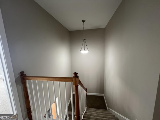 stairway with carpet flooring