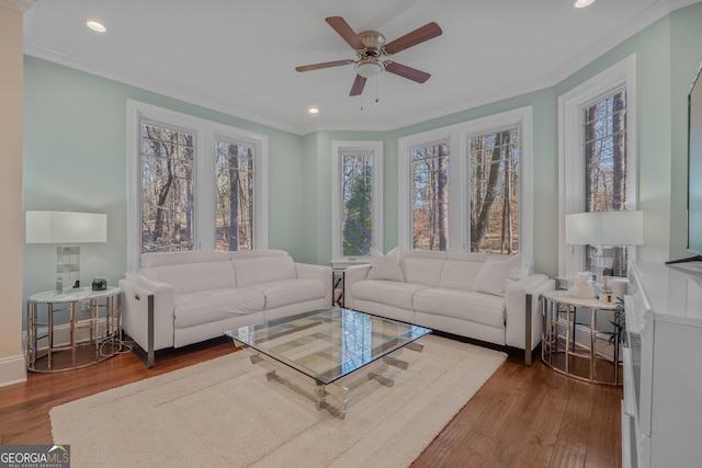 living room featuring wood-type flooring, ceiling fan, and ornamental molding