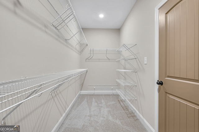 spacious closet with light carpet