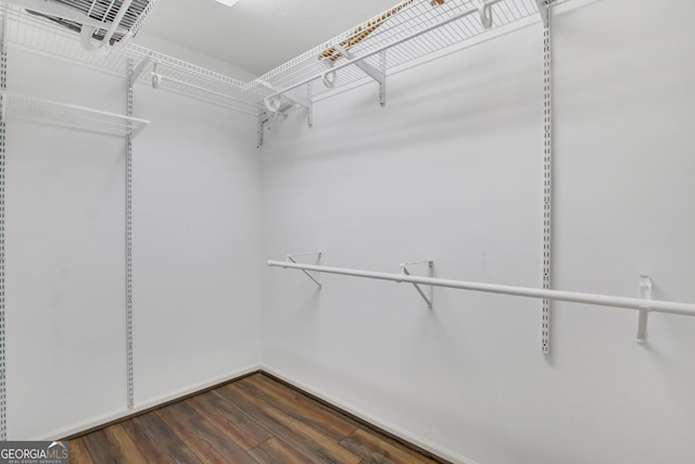 walk in closet featuring dark hardwood / wood-style flooring