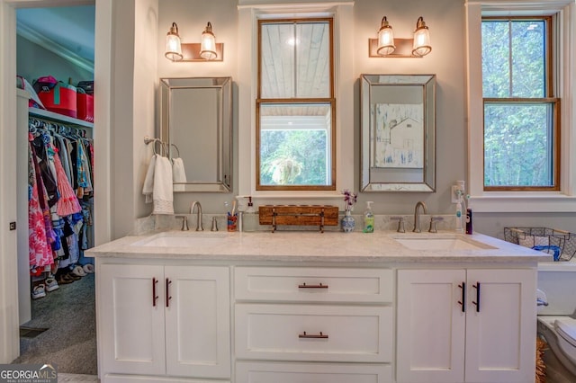 bathroom with vanity