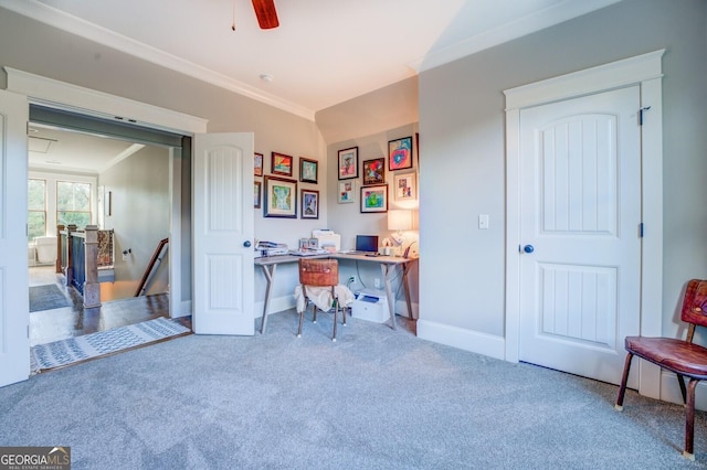 carpeted office featuring ceiling fan and crown molding