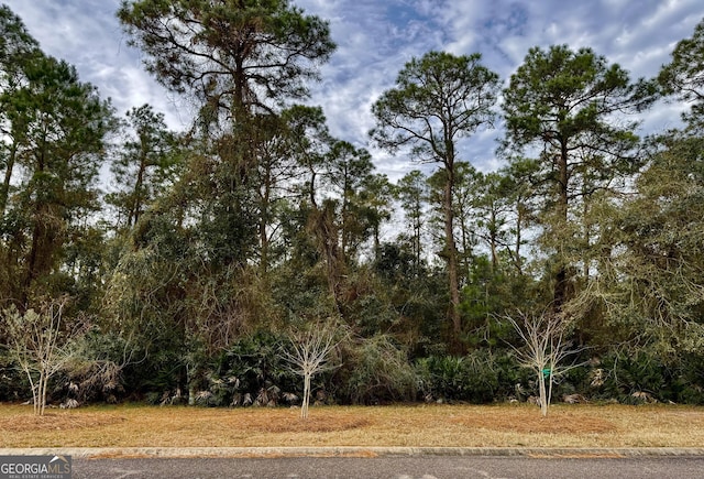 306 Clubhouse Cir, Saint Marys GA, 31558 land for sale