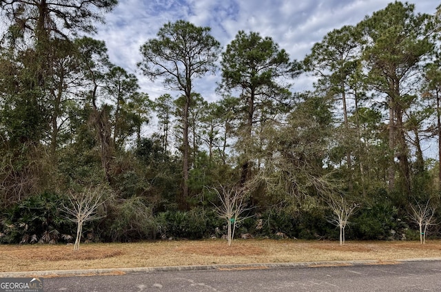 Listing photo 2 for 306 Clubhouse Cir, Saint Marys GA 31558