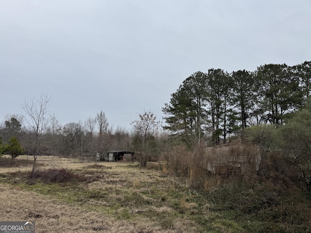 206 Gooseneck Ln, Hawkinsville GA, 31036 land for sale