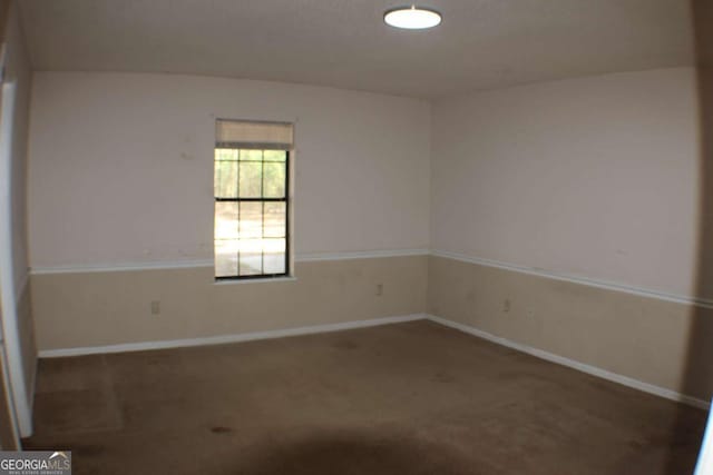 empty room featuring carpet floors