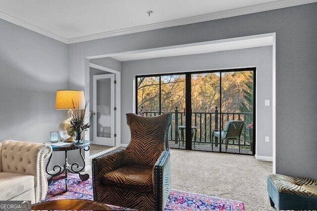 interior space featuring ornamental molding and carpet