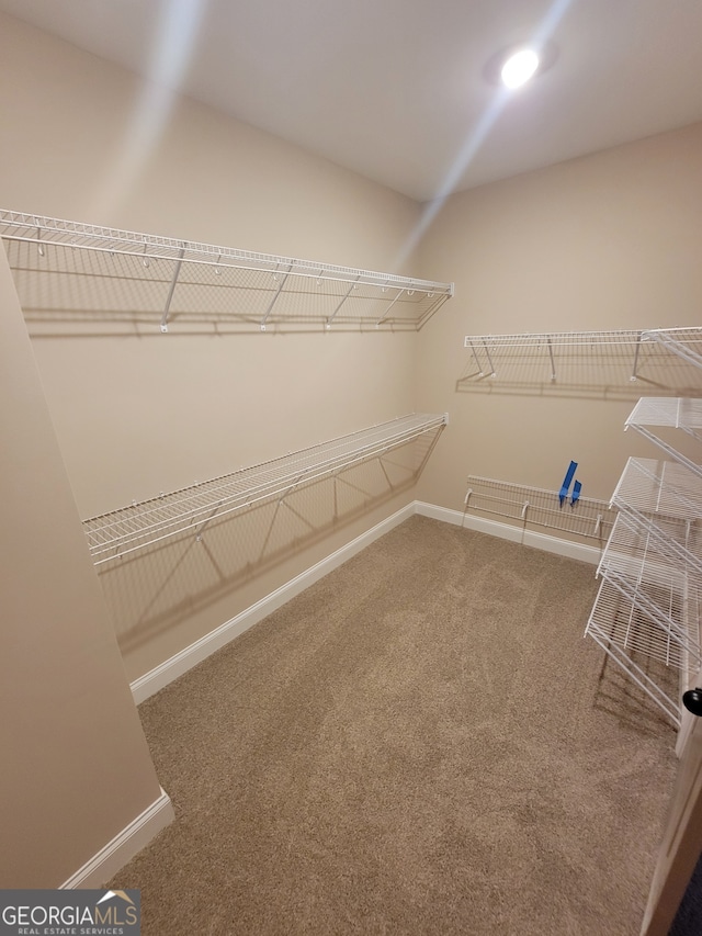 15 Dixon Rd, Newnan, GA 30263 - walk in closet with carpet flooring