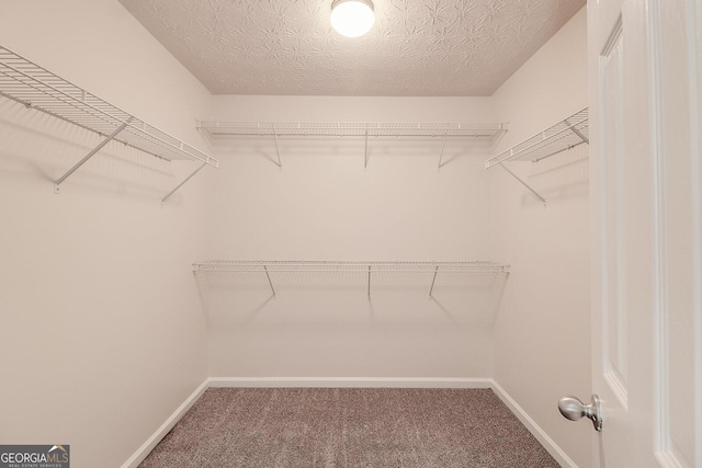 53 Providence Oak Ct, Lawrenceville, GA 30046 - spacious closet with carpet floors
