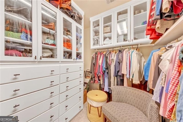 view of spacious closet