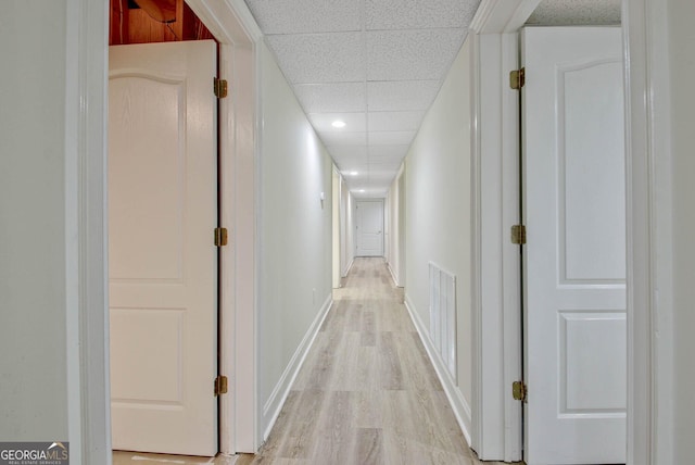 hall featuring light hardwood / wood-style flooring and a drop ceiling