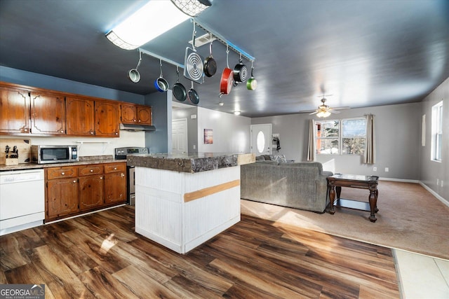 kitchen with hardwood / wood-style floors, ceiling fan, and stainless steel appliances