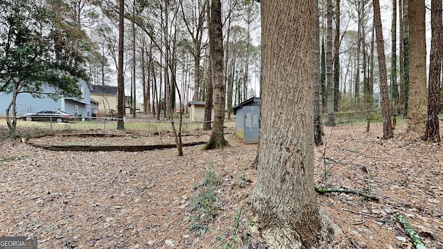 view of yard featuring a storage unit