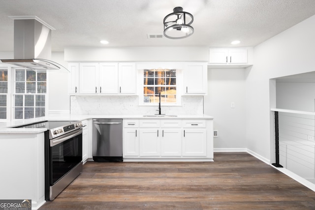 kitchen with white cabinets, appliances with stainless steel finishes, sink, and island range hood