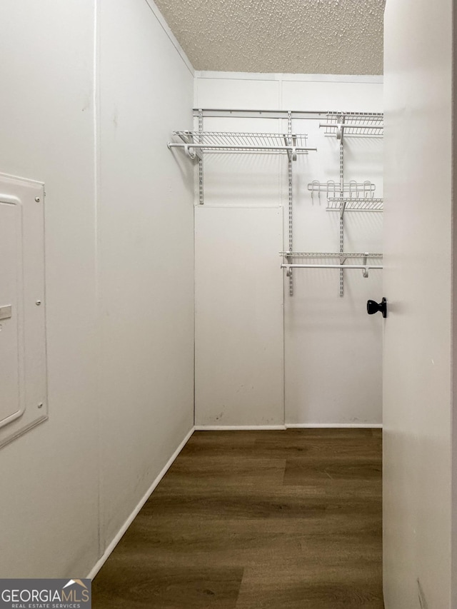 walk in closet featuring electric panel and dark hardwood / wood-style floors