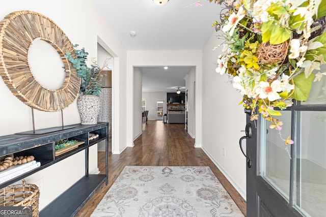 foyer featuring dark hardwood / wood-style flooring and ceiling fan