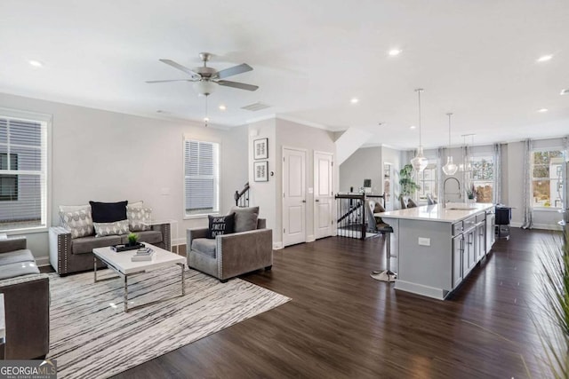 living room with dark hardwood / wood-style flooring, ceiling fan, ornamental molding, and sink