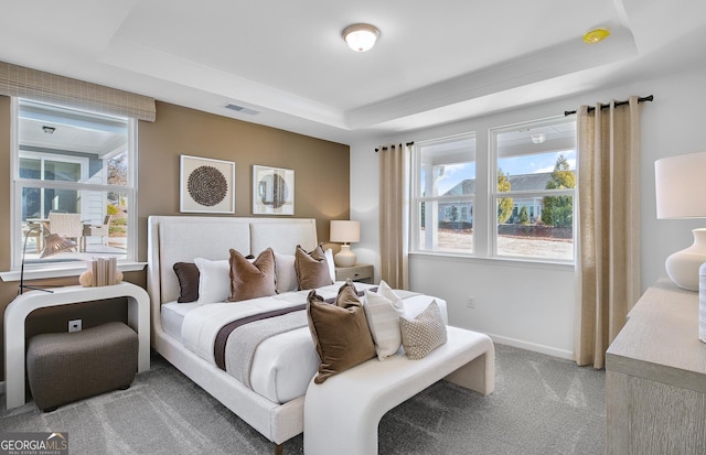 bedroom featuring carpet floors, a raised ceiling, and multiple windows