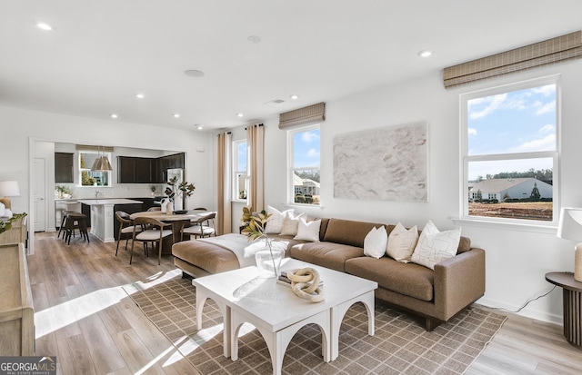 living room with light hardwood / wood-style flooring