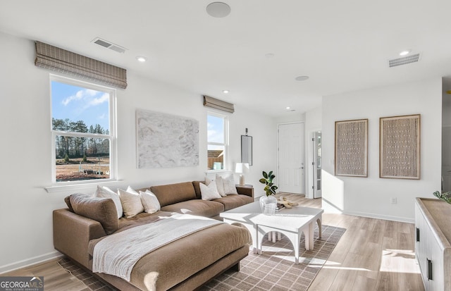 living room with light hardwood / wood-style floors and plenty of natural light