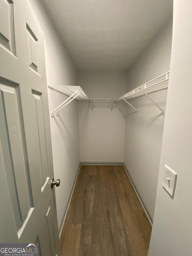 spacious closet featuring dark wood-type flooring