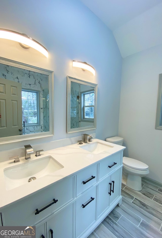 bathroom featuring lofted ceiling, toilet, vanity, and a shower