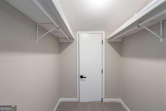 walk in closet featuring carpet floors