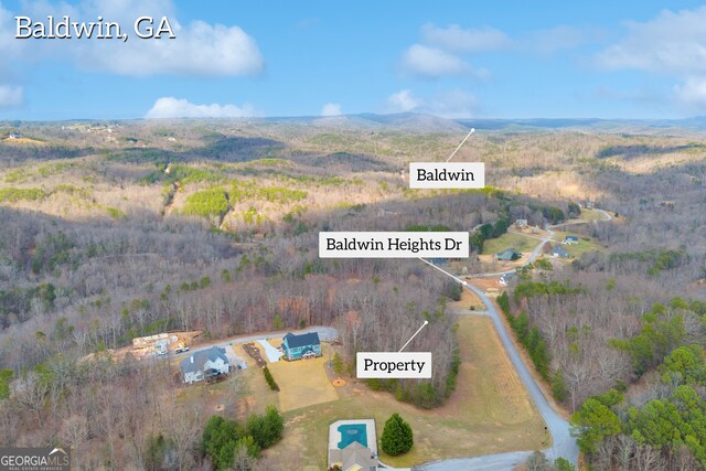 01 Planters Pointe Dr, Baldwin, GA 30511