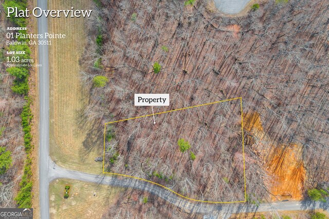 01 Planters Pointe Dr, Baldwin, GA 30511