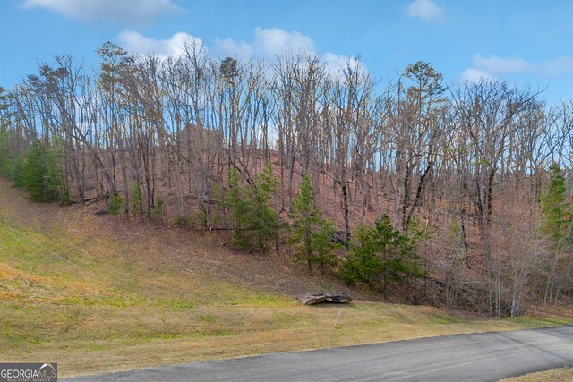 01 Planters Pointe Dr, Baldwin, GA 30511