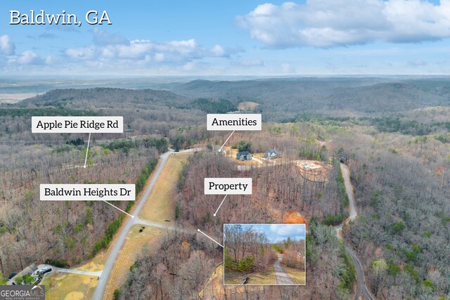 01 Planters Pointe Dr, Baldwin, GA 30511