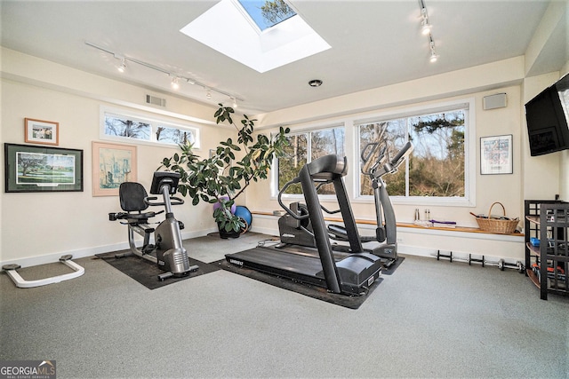 exercise area featuring a skylight