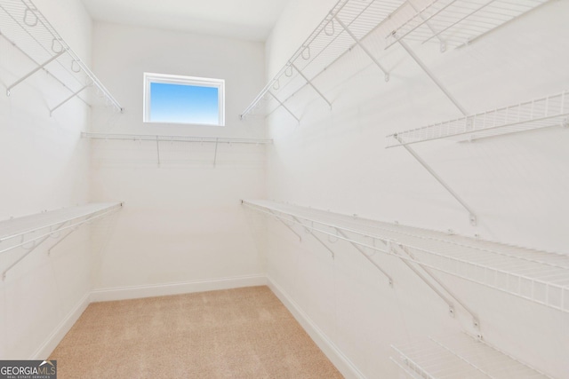 spacious closet featuring light colored carpet