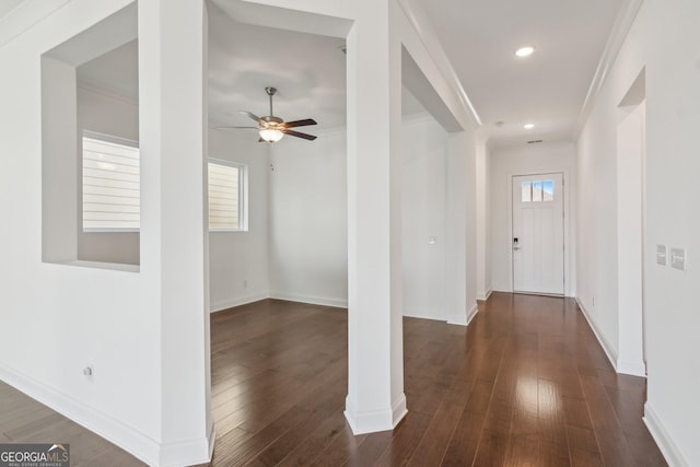 foyer featuring crown molding, ceiling fan, and dark hardwood / wood-style floors