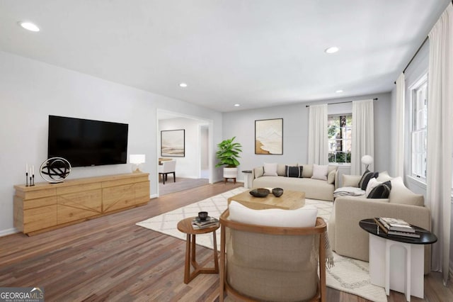 living room featuring hardwood / wood-style floors