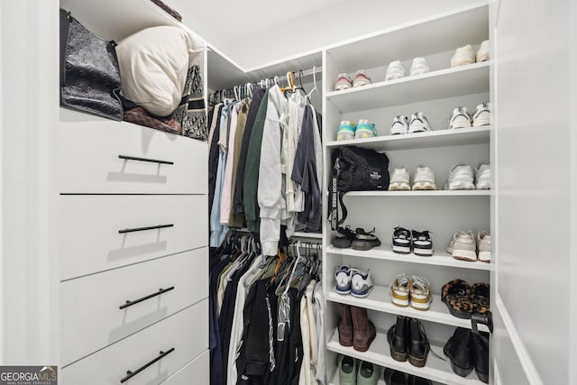 view of spacious closet