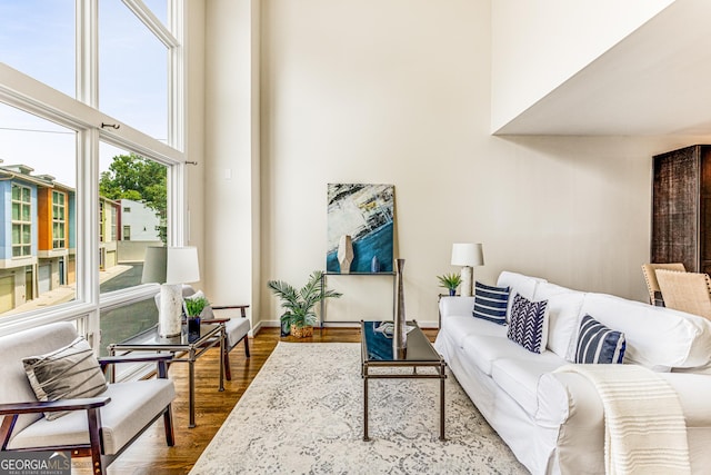 living room with wood-type flooring