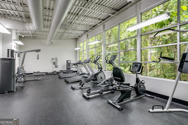 gym featuring a wealth of natural light