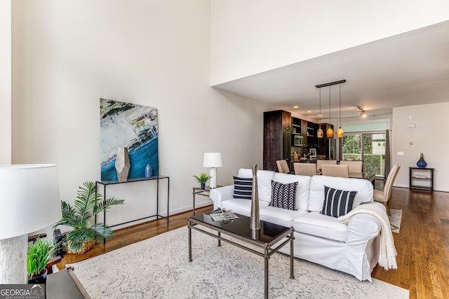 living room with hardwood / wood-style flooring