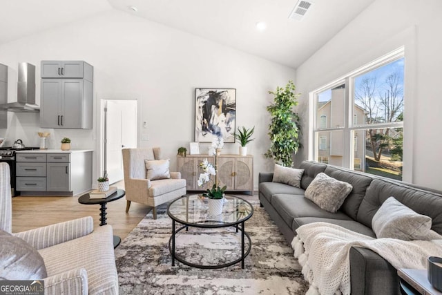 living room with light hardwood / wood-style flooring and high vaulted ceiling