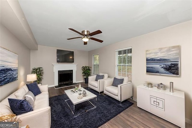 living room featuring ceiling fan and dark hardwood / wood-style floors