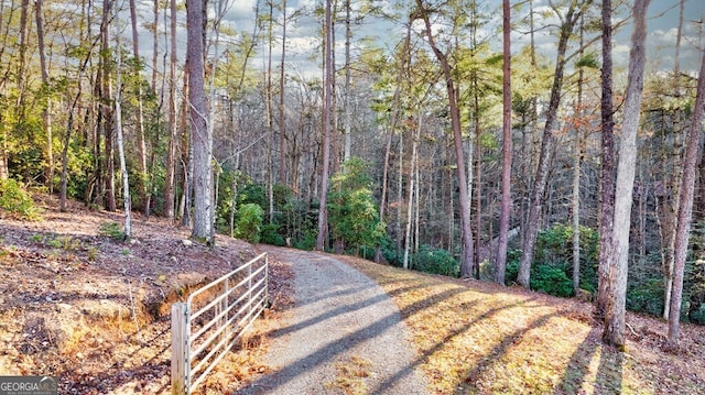 view of road