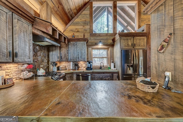 kitchen with appliances with stainless steel finishes, a healthy amount of sunlight, high vaulted ceiling, and sink