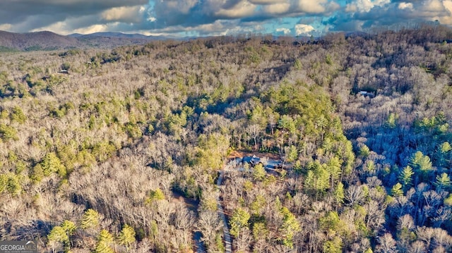 bird's eye view featuring a mountain view