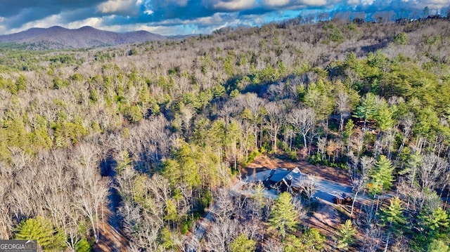 drone / aerial view featuring a mountain view