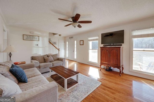 living room featuring ceiling fan, light hardwood / wood-style floors, and a textured ceiling