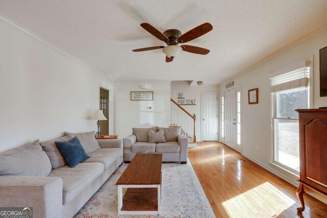 living room with ceiling fan, light hardwood / wood-style floors, a textured ceiling, and ornamental molding