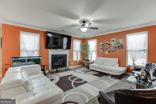 carpeted living room with ceiling fan and crown molding