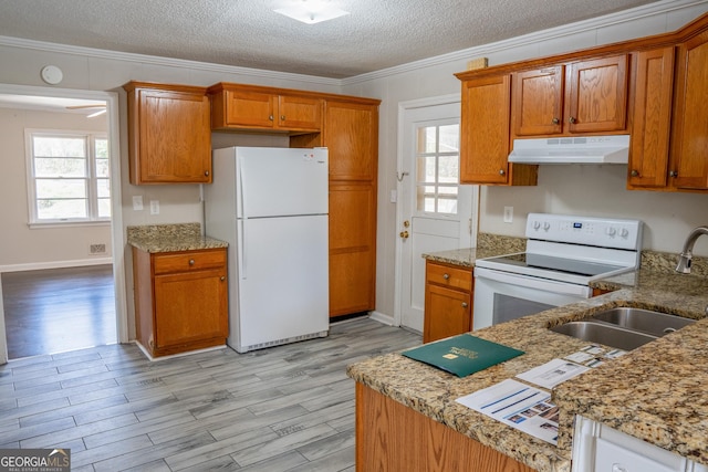 kitchen with sink, white appliances, a wealth of natural light, ornamental molding, and light wood-type flooring