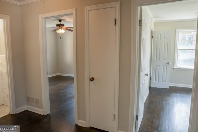 hallway featuring crown molding and dark hardwood / wood-style floors